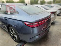 بي واي دي سيل 07 DM-i